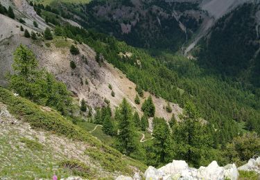 Trail Mountain bike Arvieux - Arvieux col tronchet - Photo