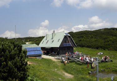 Excursión A pie Gemeinde Reichenau an der Rax - Seehütte - Preinerwand-Kreuz - Ottohaus - Photo