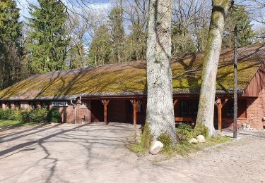 Tour Zu Fuß Undeloh - Kerkstieg - Photo