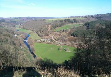 Tour Wandern La Roche-en-Ardenne - La Roche 9  - Photo