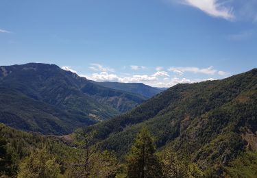 Tour Wandern Daluis - Gorges du Daluis vu du haut - Photo