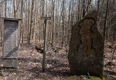 Excursión A pie Freudenberg - Rundwanderweg Wessental, We1, Wildbach-Weg - Photo