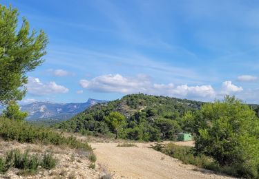 Excursión Senderismo Ceyreste - Ceyrestes Le vallon du diable - Photo