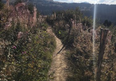 Trail Walking Villard-sur-Doron - 20220828 Tour des Saisies depuis Hameau de Beaufortain - Photo