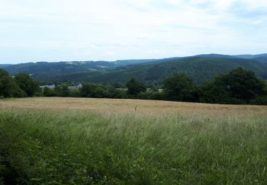 Tour Wandern Érezée - Fanzel - Photo