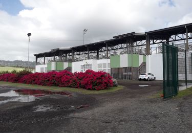 Tour Wandern Le François - Stade du François-pointe Degras en boucle - Photo