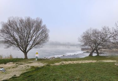 Tour Laufen Le Pontet - Le Pontet - Photo