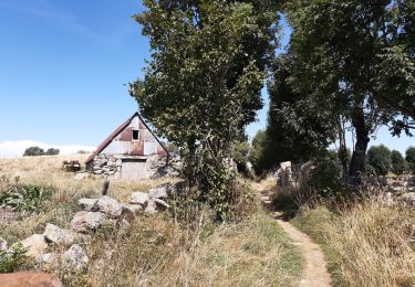 Trail Walking Prinsuéjols-Malbouzon - GR65 j3 - Photo