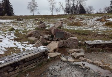 Percorso A piedi Schmallenberg - Rothaarsteig Zugang Nordenau - Photo