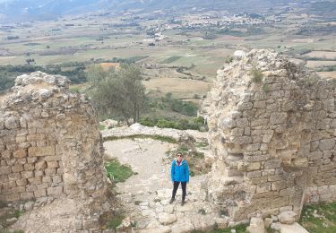 Randonnée Vélo électrique Duilhac-sous-Peyrepertuse - Château_Aguilar_Garmin - Photo