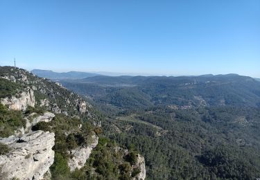 Trail Walking Solliès-Toucas - Moriéres - Photo