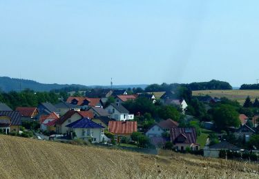 Percorso A piedi Hochstetten-Dhaun - VitalTour: Wildgrafenweg - Photo