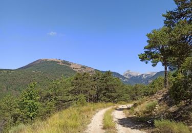 Trail Mountain bike Aspres-sur-Buëch - Gorges de l'Agnielle - Photo