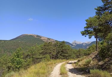 Percorso Mountainbike Aspres-sur-Buëch - Gorges de l'Agnielle - Photo