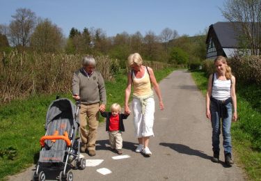 Tocht Te voet Stoumont - WandArdRiv7: Moulin-du-Ruy langs de onbekende Roannah - Photo