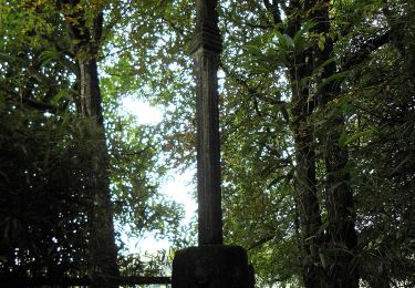 Randonnée A pied Landéan - Les Vieux Châteaux - Photo