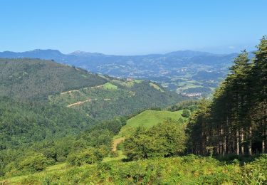 Excursión Senderismo Villabona - col de Uzturré depuis villabona - Photo