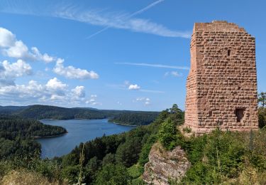 Trail Walking Badonviller - 2023-07-22 Marche Bivouac Lac de la pierre percee - Photo