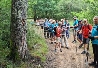 Percorso Camminata nordica Mios - xcf - Photo