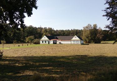 Excursión A pie Třeboň - NS Cesta kolem Světa - Photo