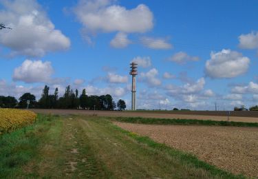 Tocht Stappen Parçay-Meslay - Parcay-Meslay - lieu-dit le Houdeau de Monnaie - 21.3km 190m 4h50 (50mn) - 2023 08 27 - Photo