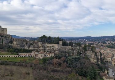 Trail Walking Vaison-la-Romaine - Vaison  la  Romaine - Photo