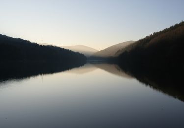 Tour Zu Fuß Plettenberg - Oestertalsperre Rundweg A1 - Photo