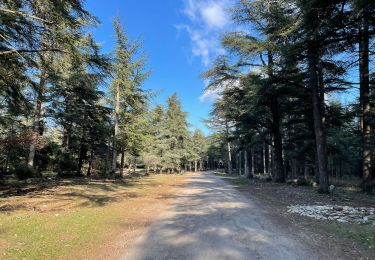 Randonnée Marche Bonnieux - PF-Bonnieux - Massif des Cèdres - Roque des Bancs - Les Portalas - AT - Photo