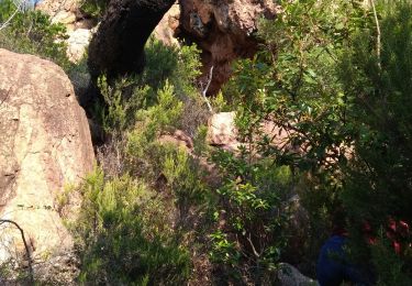 Tour Wandern Le Muy - la fontaine des chasseurs - Photo