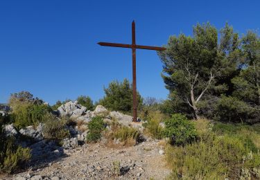 Randonnée Marche Marseille - Camoins - les barres du St Esprit - Massif du Garlaban - Photo