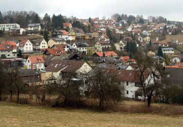 Randonnée A pied Schriesheim - Rundwanderweg Wilhelmsfeld 12: Leichtersberg-Weg - Photo