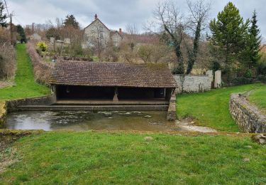 Trail Walking Bussiares - Bussiares du 13/03/2025 - Photo