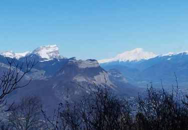 Tocht Stappen Seyssins - moucheroutte  - Photo