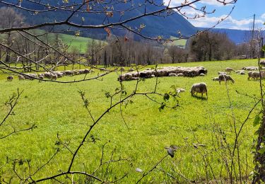 Tocht Stappen Saint-Bauzile - la tuffiere de chailhac - Photo