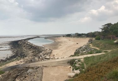 Excursión Senderismo Saint-Nazaire-sur-Charente - Ballade de Charente à île madame - Photo