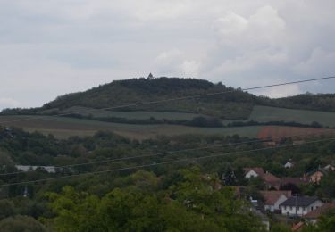 Tour Zu Fuß Munjeroth - Z+ (Mogyoród, Szent László kilátó - Mogyoród, Sikáros) - Photo