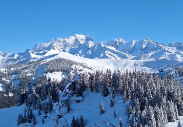 Tour Schneeschuhwandern Hauteluce - Le Signal - Chard du Beurre - Plan Chardon - Photo