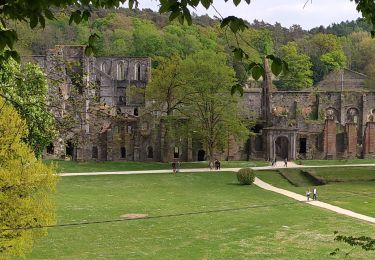 Tour Wandern Villers-la-Ville - Villers-la-Ville : promenade 3 (coureur des bois) - Photo