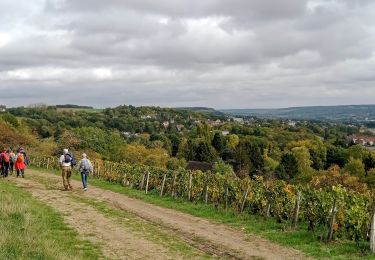 Trail Walking Château-Thierry - Chateau-Thierry du 13/10/2022 - Photo