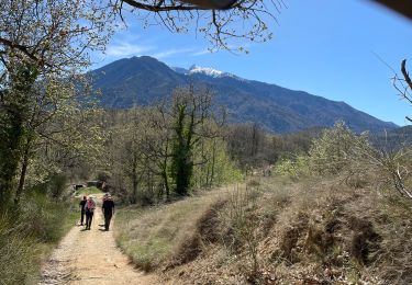 Trail Walking Los Masos - Los Masos Lionat - Photo