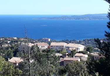 Trail Walking Roquebrune-sur-Argens - la Gaillarde - Photo