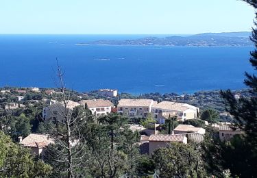 Tour Wandern Roquebrune-sur-Argens - la Gaillarde  - Photo