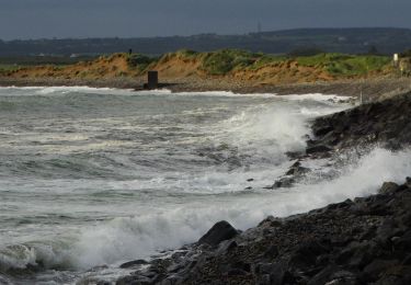 Tour Zu Fuß Sligo Municipal Borough District - Killaspugbrone Loop - Photo