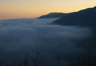 Trail On foot Dolcedo - AM2 - Alpi Mare 2 - Photo