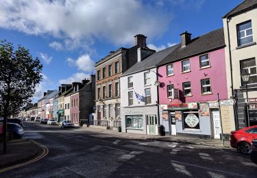 Percorso A piedi Claremorris-Swinford Municipal District - Ballyglass - Photo