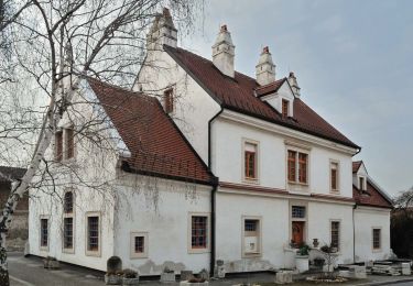 Tour Zu Fuß Gemeinde Donnerskirchen - Mannersdorf - 7 Linden - Donnerskirchen - Photo