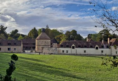 Tour Wandern Saint-Rémy-lès-Chevreuse - Virade de St Remy Parcours jaune - Photo