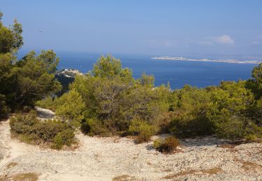 Tour Wandern Marseille - piastre montredon - Photo