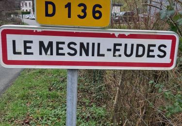 Tocht Stappen Le Mesnil-Eudes - Le Mesnil-Eudes - Photo