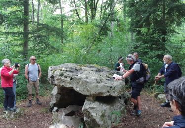 Trail Walking Courgenay - Forêt de Lancy - Photo